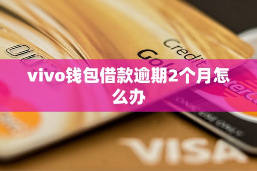 vivo钱包借款逾期2个月怎么办