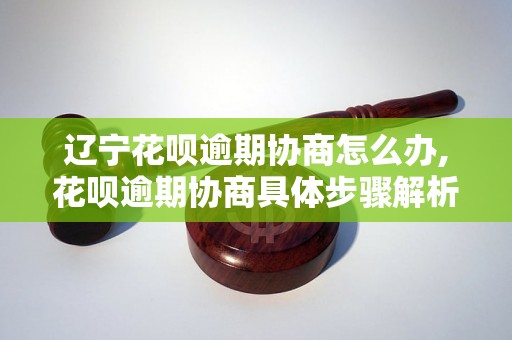 辽宁花呗逾期协商怎么办,花呗逾期协商具体步骤解析