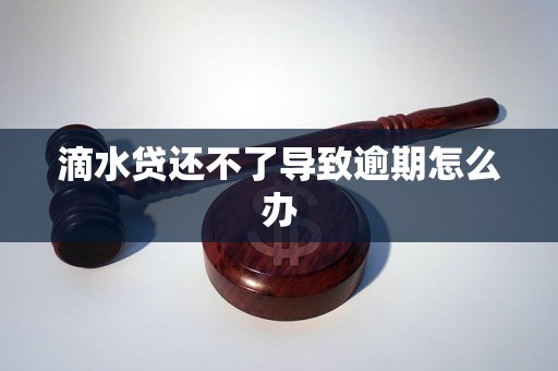 滴水贷还不了导致逾期怎么办