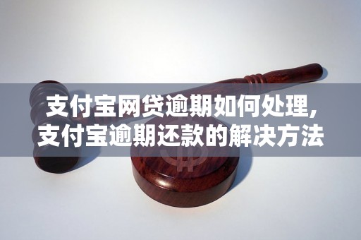 支付宝网贷逾期如何处理,支付宝逾期还款的解决方法