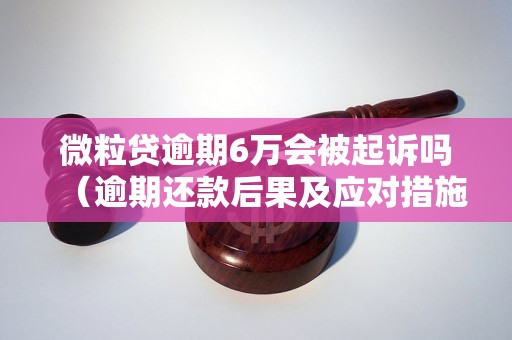 微粒贷逾期6万会被起诉吗（逾期还款后果及应对措施）