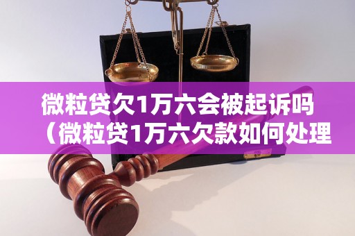 微粒贷欠1万六会被起诉吗（微粒贷1万六欠款如何处理）