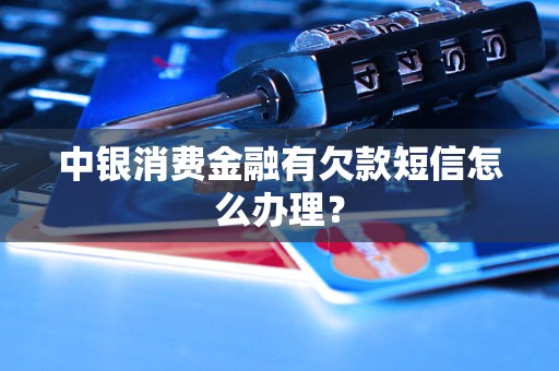 中银消费金融有欠款短信怎么办理？