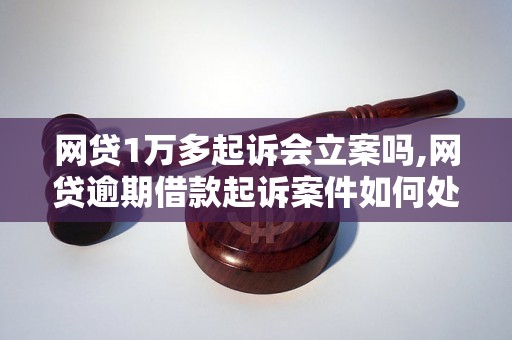 网贷1万多起诉会立案吗,网贷逾期借款起诉案件如何处理