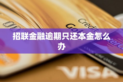 招联金融逾期只还本金怎么办