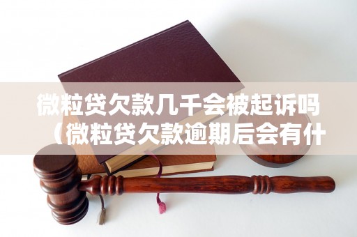 微粒贷欠款几千会被起诉吗（微粒贷欠款逾期后会有什么后果）