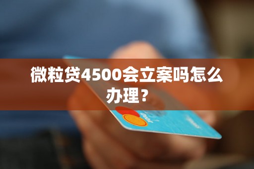 微粒贷4500会立案吗怎么办理？