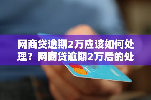 网商贷逾期2万应该如何处理？网商贷逾期2万后的处置措施