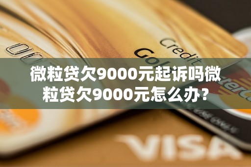 微粒贷欠9000元起诉吗微粒贷欠9000元怎么办？