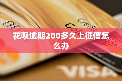 花呗逾期200多久上征信怎么办