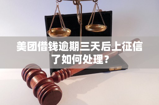 美团借钱逾期三天后上征信了如何处理？