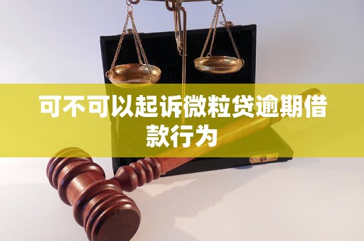 可不可以起诉微粒贷逾期借款行为