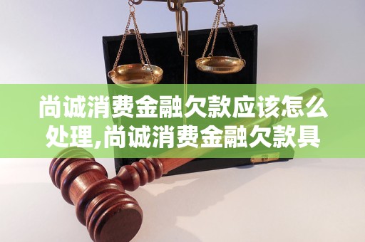 尚诚消费金融欠款应该怎么处理,尚诚消费金融欠款具体解决办法