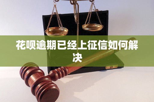 花呗逾期已经上征信如何解决