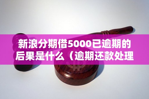 新浪分期借5000已逾期的后果是什么（逾期还款处理方式解析）