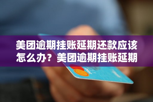 美团逾期挂账延期还款应该怎么办？美团逾期挂账延期还款流程解析