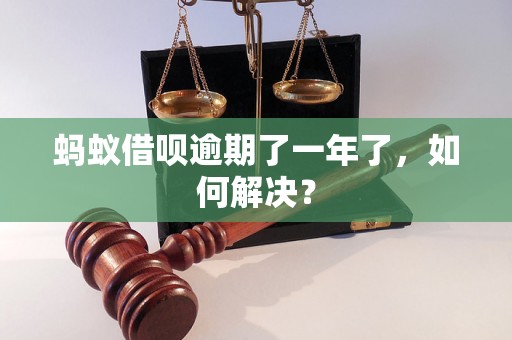 蚂蚁借呗逾期了一年了，如何解决？