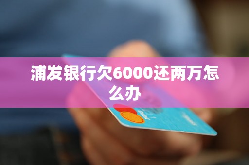 浦发银行欠6000还两万怎么办