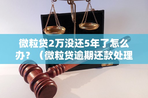 微粒贷2万没还5年了怎么办？（微粒贷逾期还款处理方法）