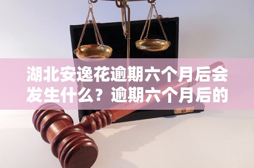 湖北安逸花逾期六个月后会发生什么？逾期六个月后的处理方式是什么？