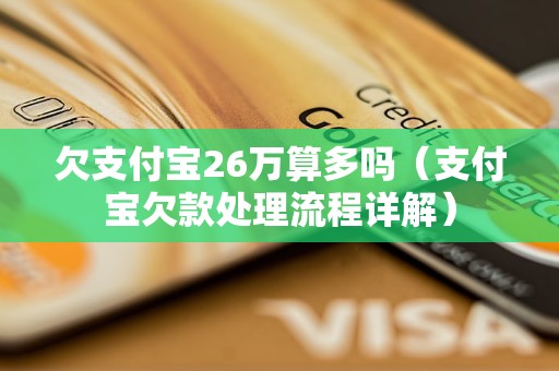 欠支付宝26万算多吗（支付宝欠款处理流程详解）