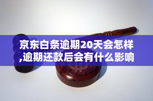 京东白条逾期20天会怎样,逾期还款后会有什么影响