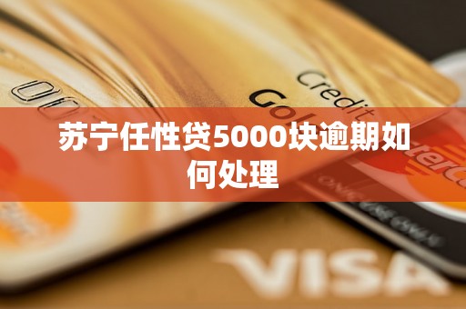 苏宁任性贷5000块逾期如何处理