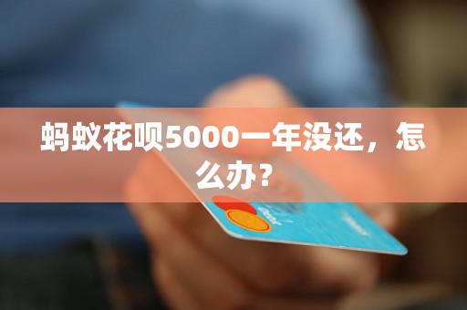 蚂蚁花呗5000一年没还，怎么办？