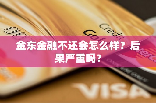 金东金融不还会怎么样？后果严重吗？