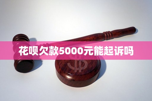 花呗欠款5000元能起诉吗