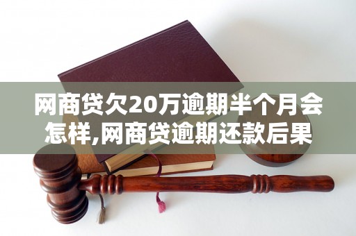 网商贷欠20万逾期半个月会怎样,网商贷逾期还款后果及解决办法