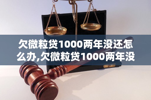 欠微粒贷1000两年没还怎么办,欠微粒贷1000两年没还后果如何