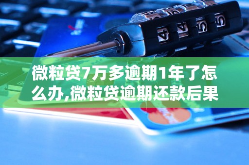 微粒贷7万多逾期1年了怎么办,微粒贷逾期还款后果严重吗