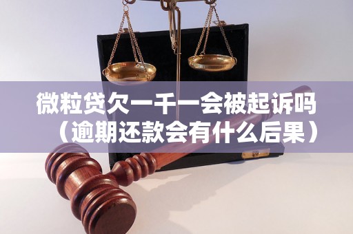 微粒贷欠一千一会被起诉吗（逾期还款会有什么后果）