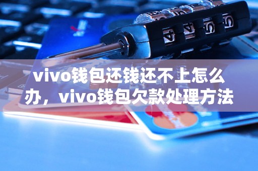 vivo钱包还钱还不上怎么办，vivo钱包欠款处理方法