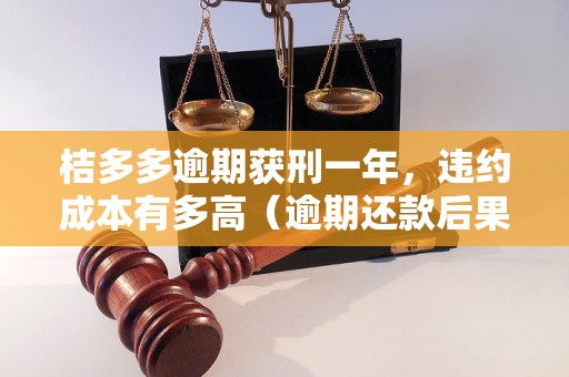 桔多多逾期获刑一年，违约成本有多高（逾期还款后果及处理方式）