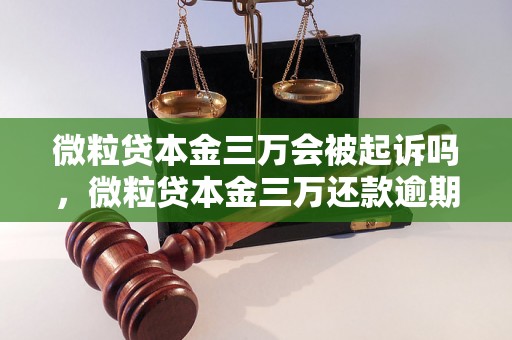 微粒贷本金三万会被起诉吗，微粒贷本金三万还款逾期会有什么后果