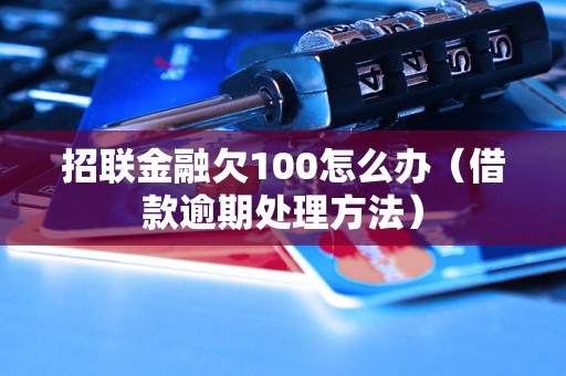 招联金融欠100怎么办（借款逾期处理方法）