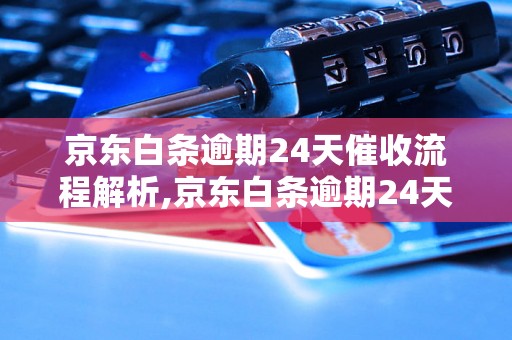 京东白条逾期24天催收流程解析,京东白条逾期24天催收费用说明