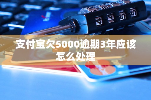 支付宝欠5000逾期3年应该怎么处理