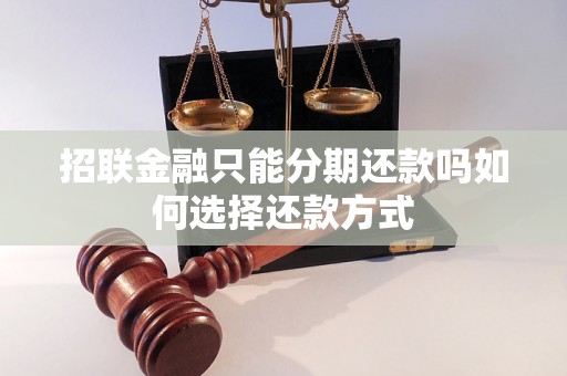 招联金融只能分期还款吗如何选择还款方式