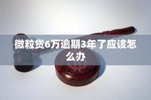 微粒贷6万逾期3年了应该怎么办