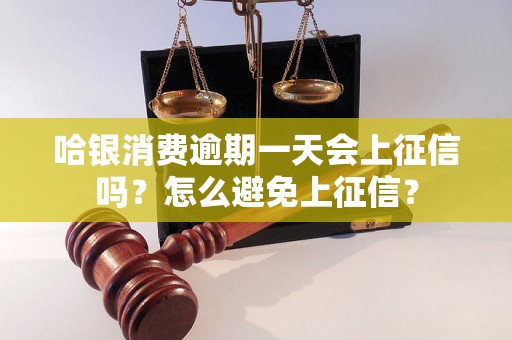 哈银消费逾期一天会上征信吗？怎么避免上征信？