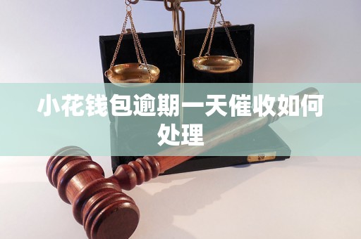 小花钱包逾期一天催收如何处理