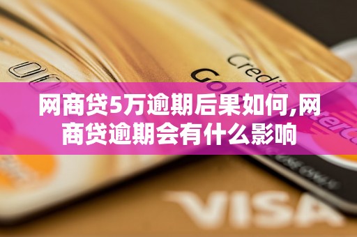 网商贷5万逾期后果如何,网商贷逾期会有什么影响