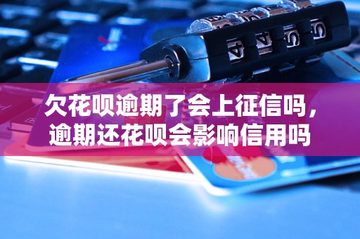 欠花呗逾期了会上征信吗，逾期还花呗会影响信用吗