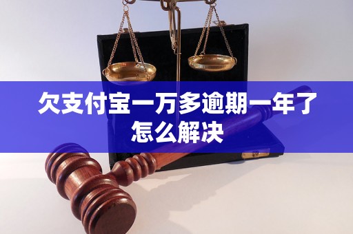 欠支付宝一万多逾期一年了怎么解决