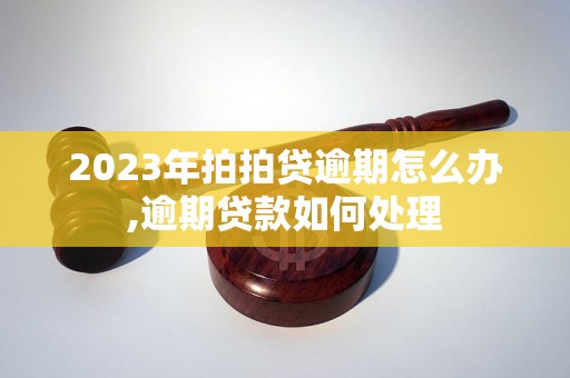 2023年拍拍贷逾期怎么办,逾期贷款如何处理