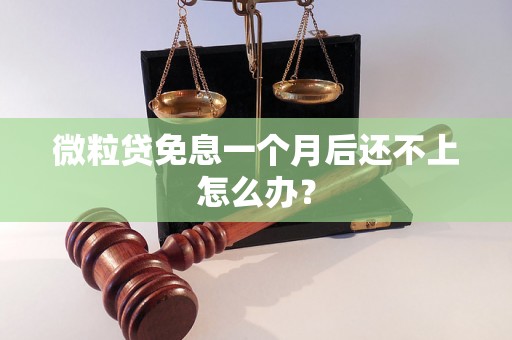 微粒贷免息一个月后还不上怎么办？