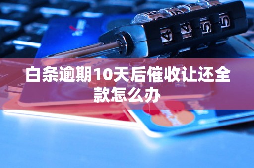 白条逾期10天后催收让还全款怎么办